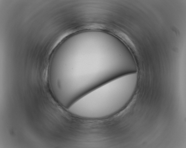 X0000114191228200910091021