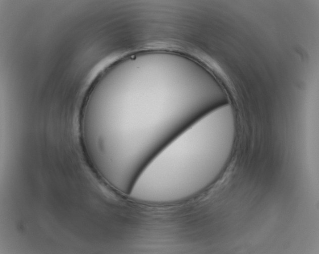 X0000114191230200910091021