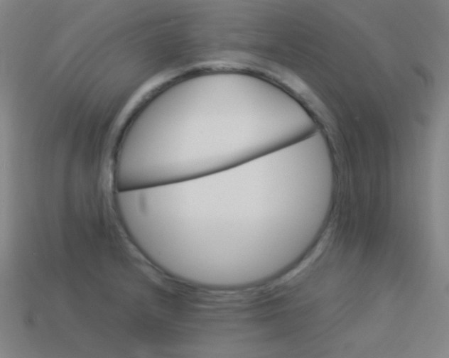 X0000114191232200910091021