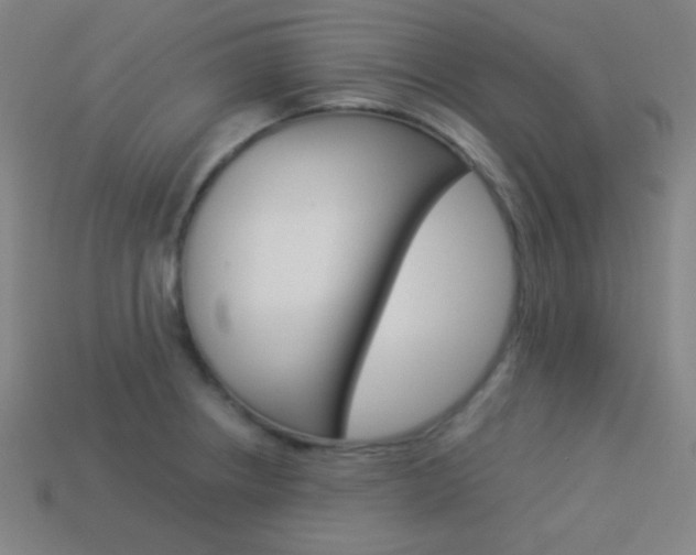 X0000114191234200910091021