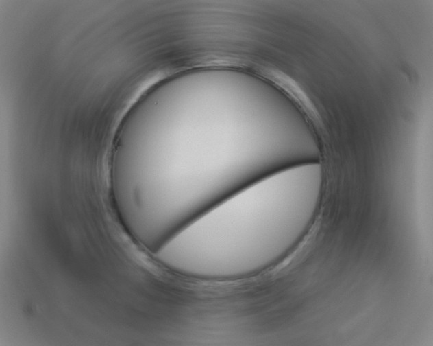 X0000114191236200910091021