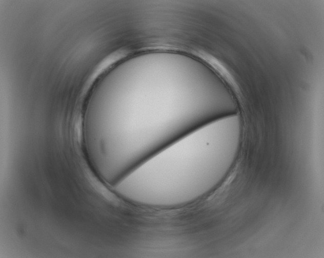 X0000114191238200910091021