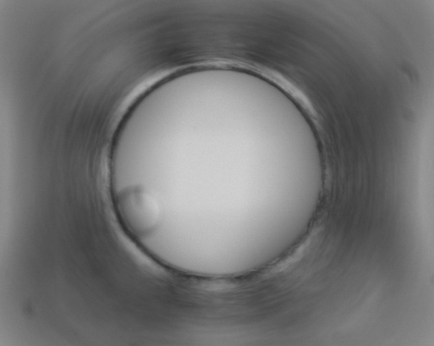 X0000114191239200910091021