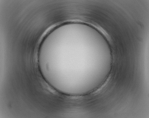 X0000114191240200910091021