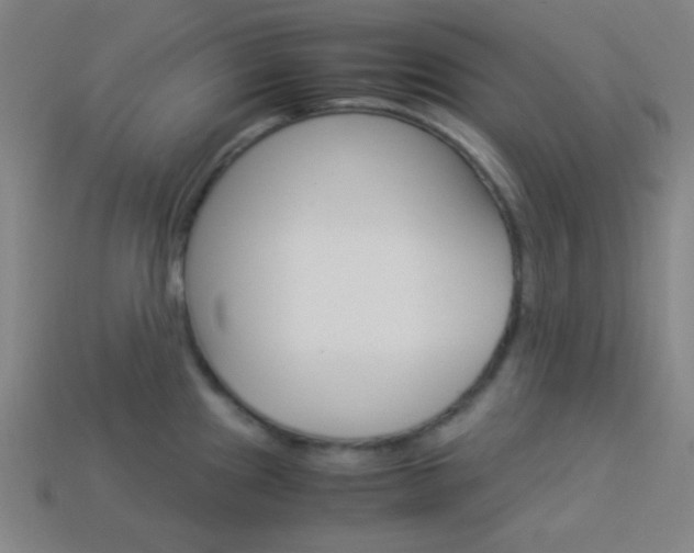 X0000114191241200910091021