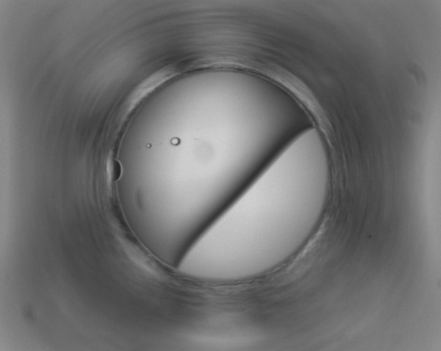 X0000114191242200910091022