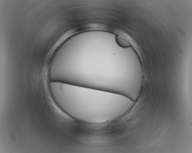 X0000114191243200910091022