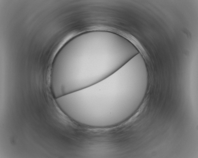 X0000114191244200910091022