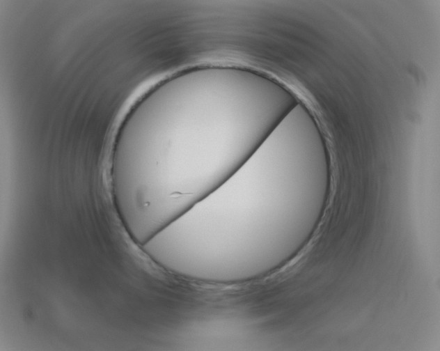 X0000114191248200910091022