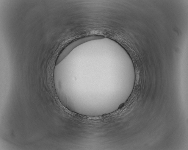 X0000114191249200910091021