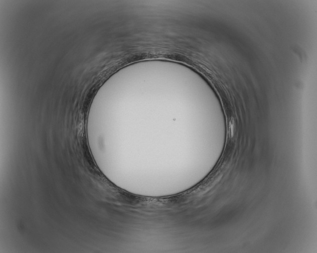 X0000114191251200910091021