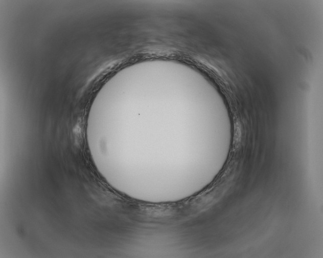 X0000114191254200910091021
