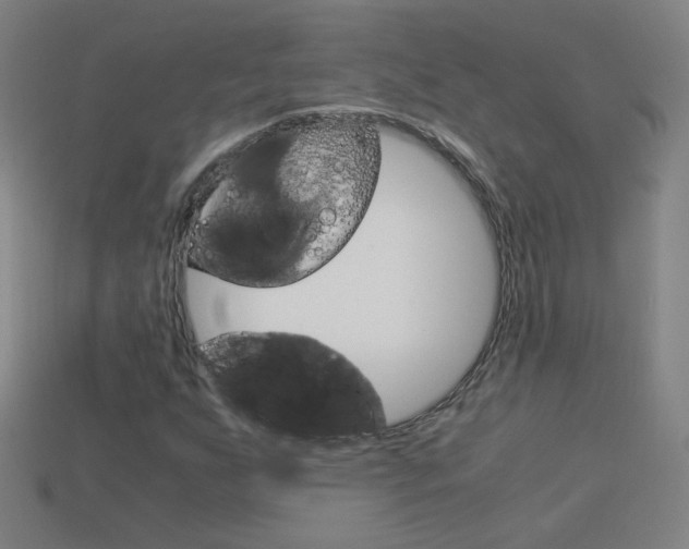 X0000114191255200910091021
