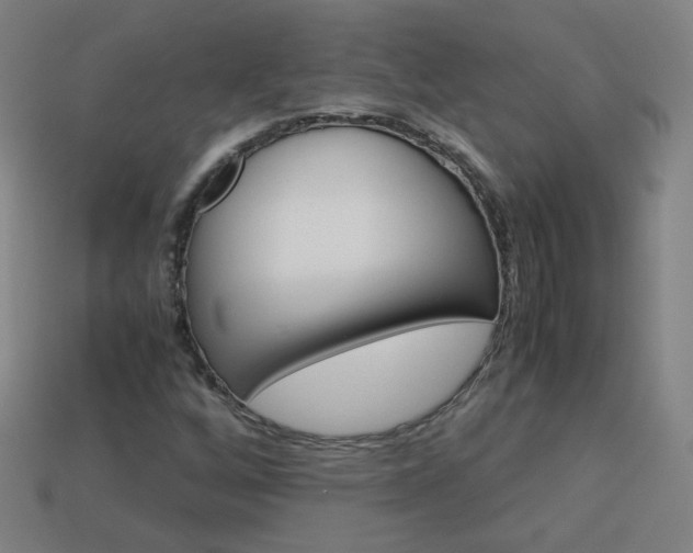 X0000114191256200910091021