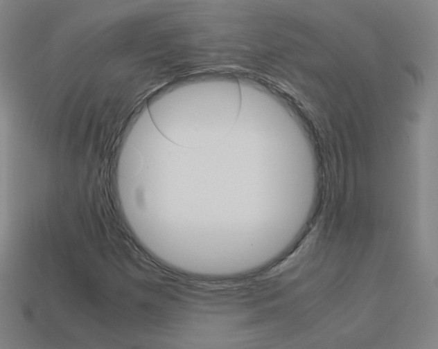 X0000114191257200910091021
