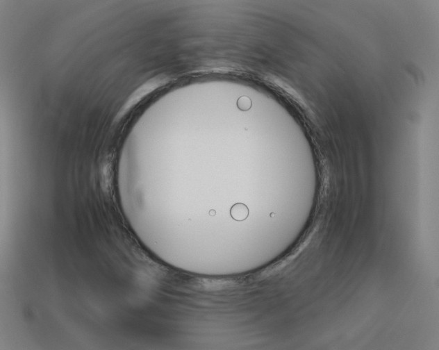 X0000114191258200910091021