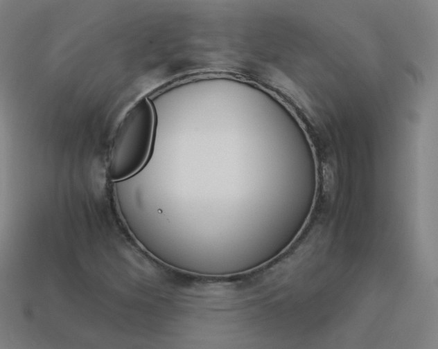 X0000114191260200910091021