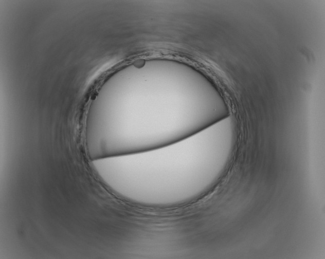 X0000114191261200910091021