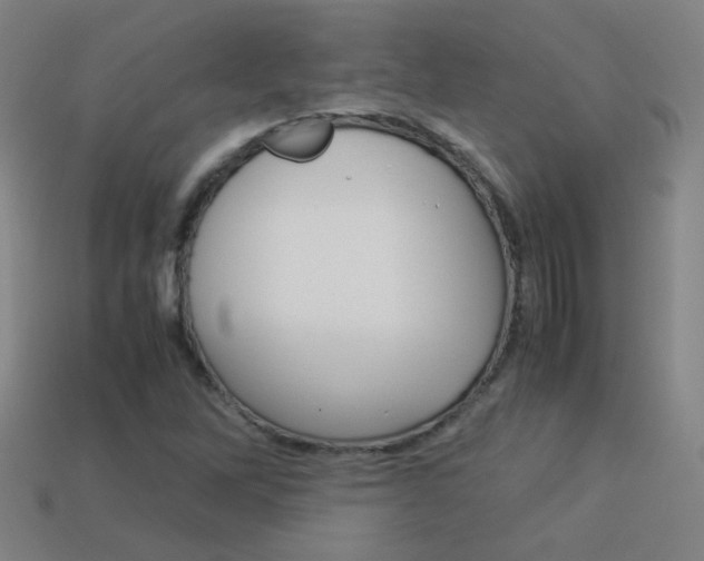 X0000114191262200910091021