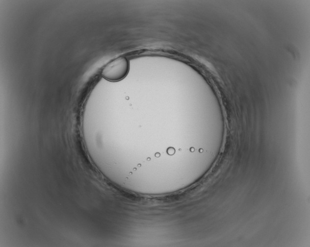 X0000114191263200910091021