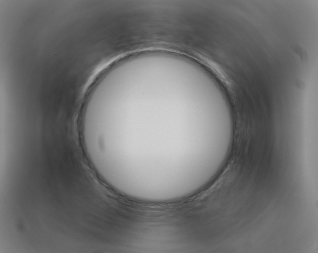 X0000114191264200910091021