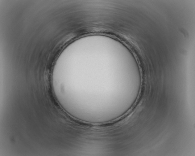 X0000114191265200910091021