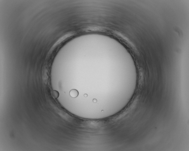 X0000114191266200910091021