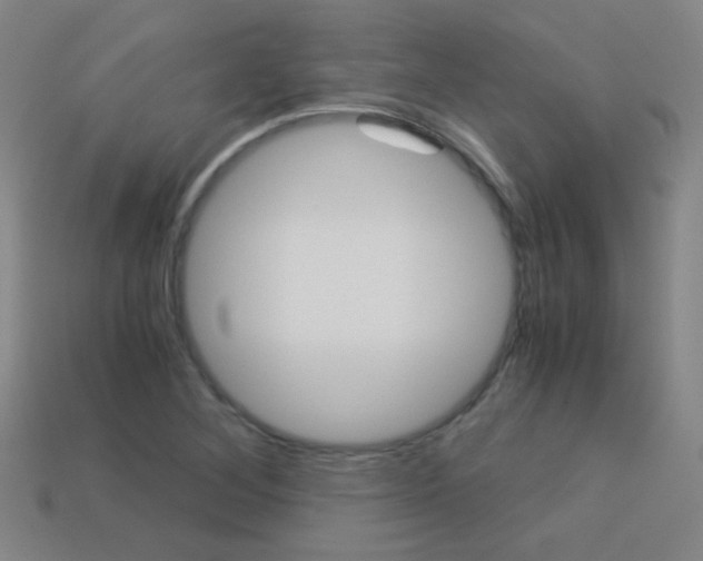 X0000114191268200910091021