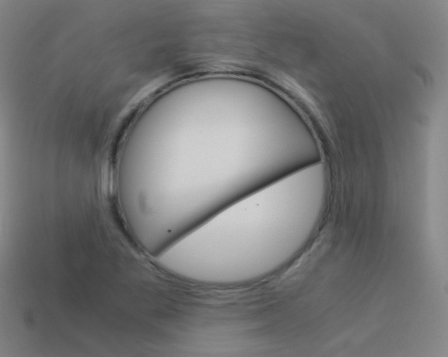 X0000114191269200910091021