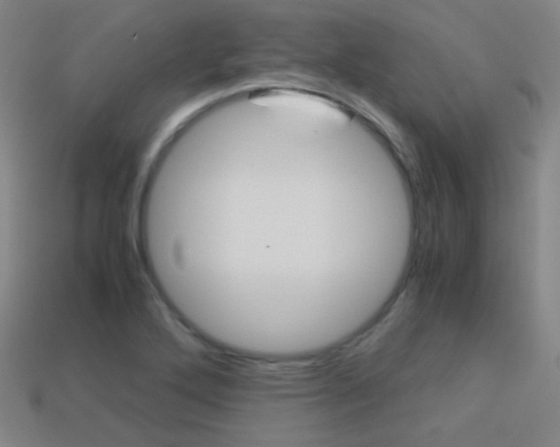 X0000114191272200910091021
