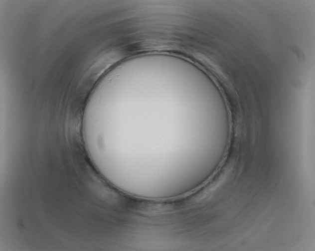 X0000114191273200910091021