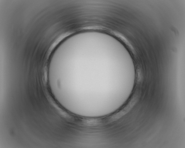 X0000114191274200910091021