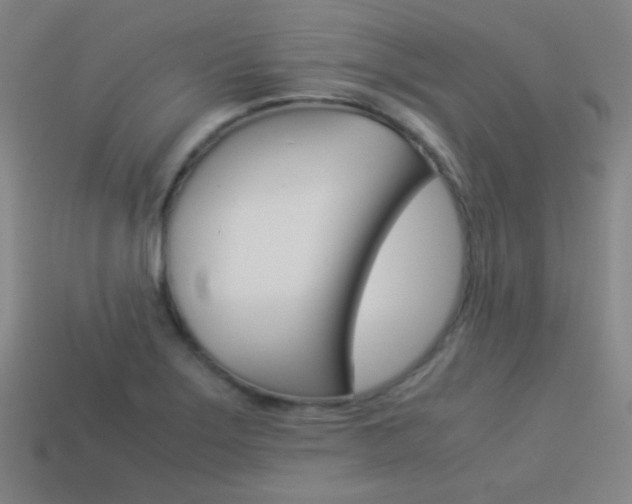 X0000114191275200910091021