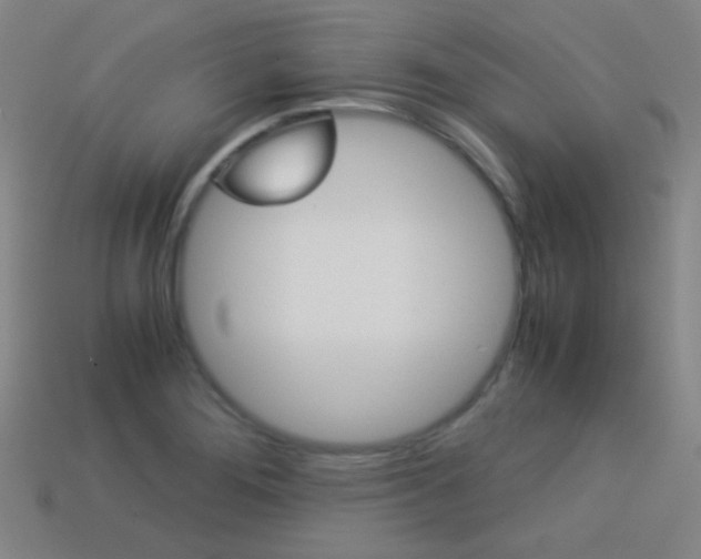 X0000114191276200910091021