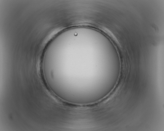X0000114191277200910091021