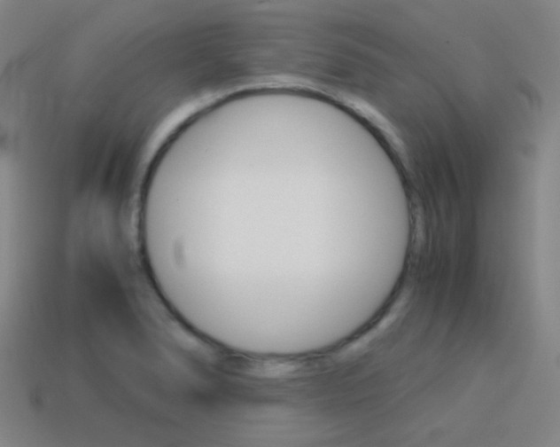 X0000114191278200910091021