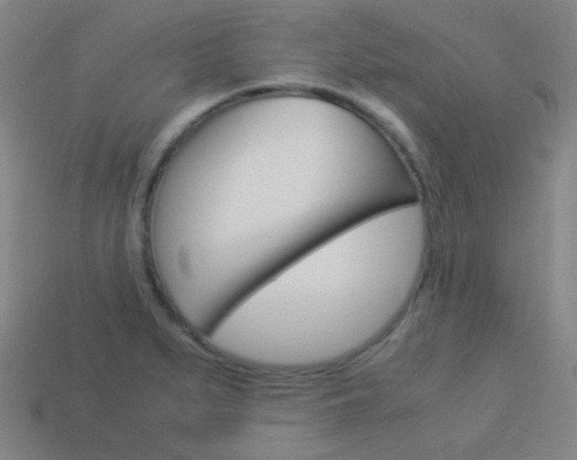 X0000114191279200910091021