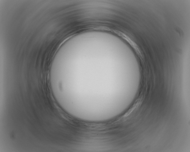 X0000114191281200910091021