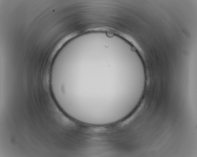 X0000114191282200910091021