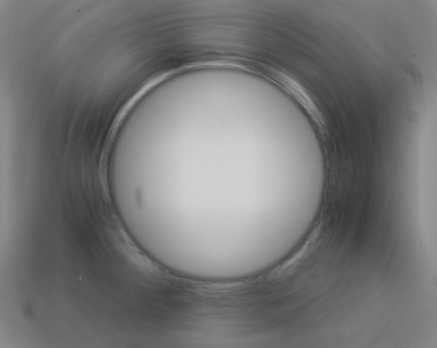 X0000114191284200910091021