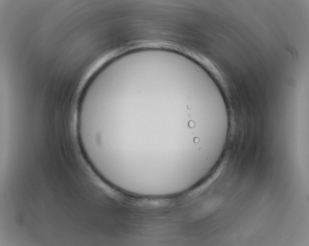X0000114191286200910091021