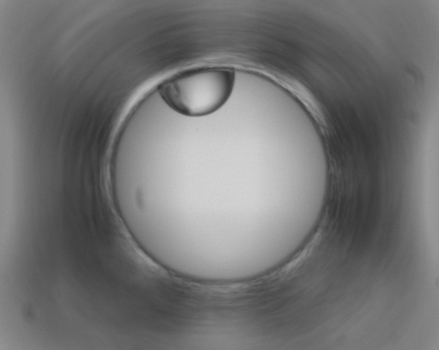 X0000114191288200910091020