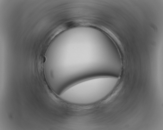 X0000114191289200910091020