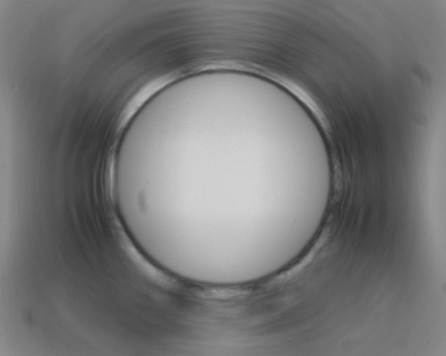 X0000114191290200910091020