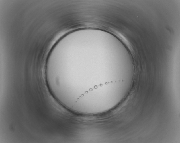 X0000114191291200910091020