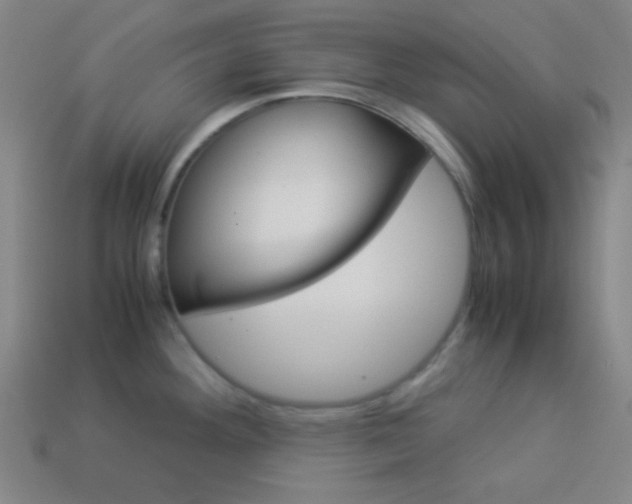 X0000114191292200910091020