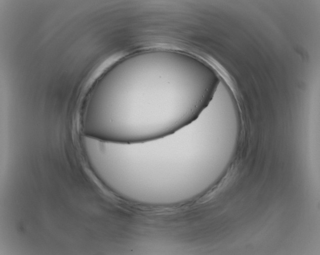 X0000114191293200910091020