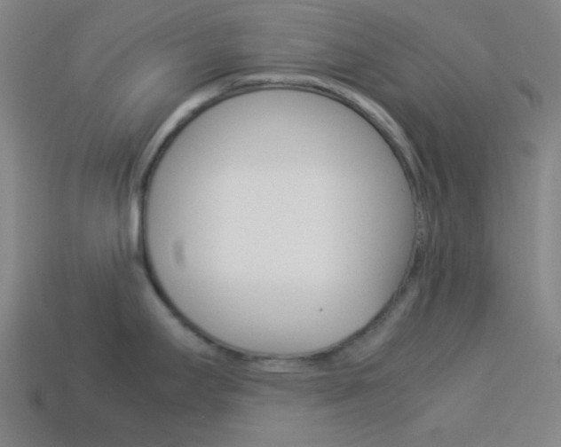 X0000114191295200910091020