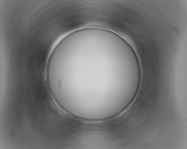 X0000114191296200910091020