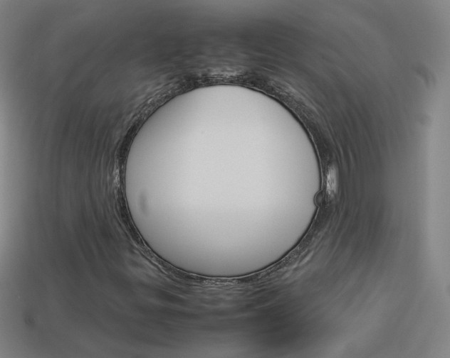 X0000114191299200910091020